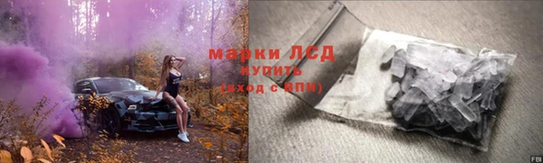 ГАЛЛЮЦИНОГЕННЫЕ ГРИБЫ Яровое