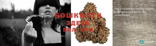 2c-b Ладушкин