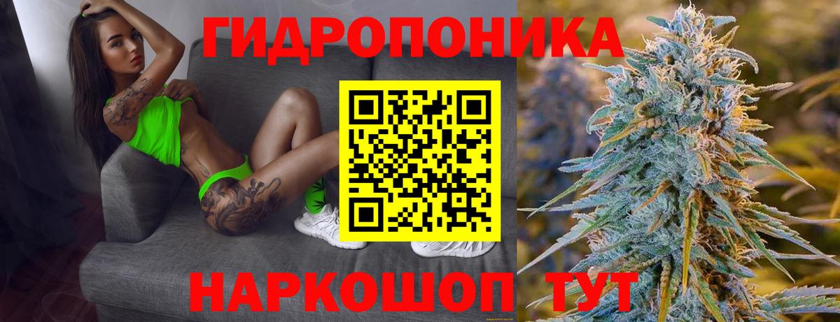 Шишки марихуана Amnesia Топки